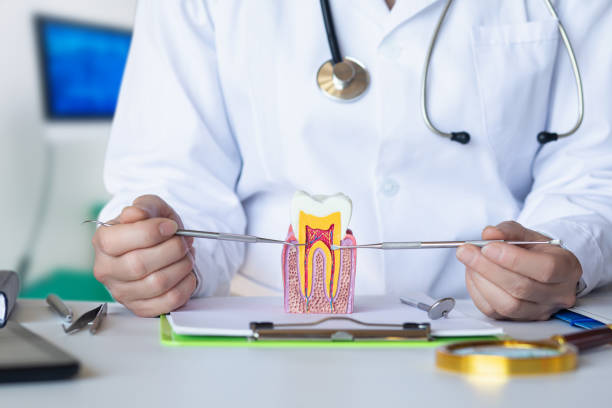 Best Emergency Tooth Extraction in The Pinery, CO